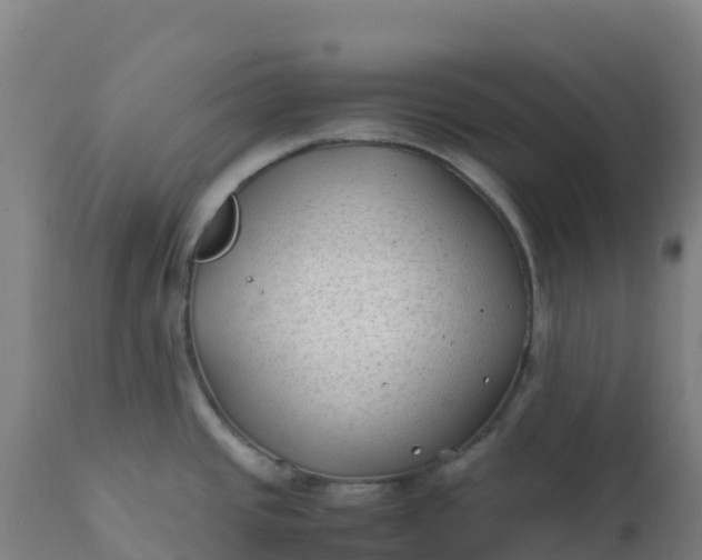 X0000112411437200908281804