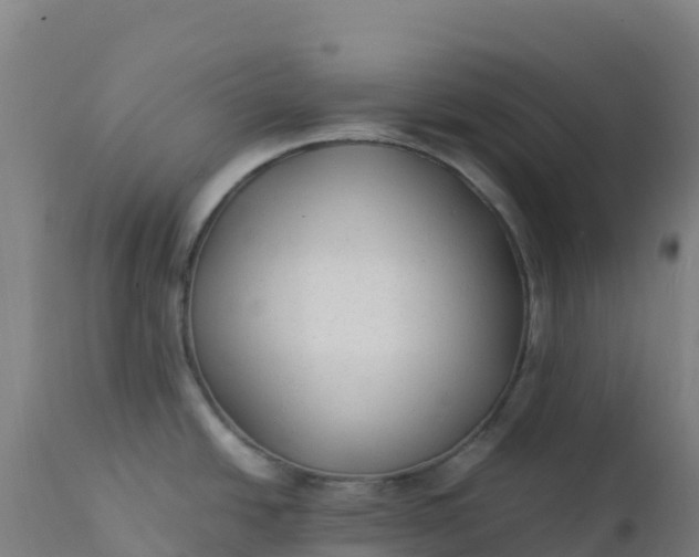 X0000112411438200908281804