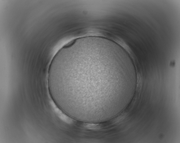 X0000112411439200908281804