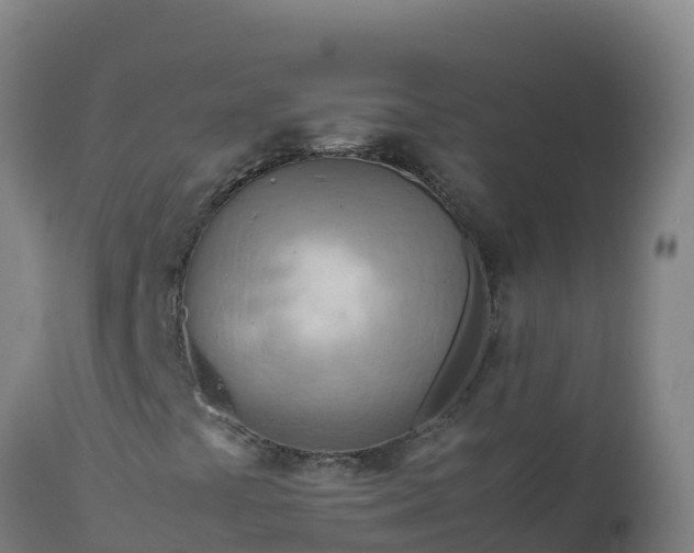 X0000112411441200908281803