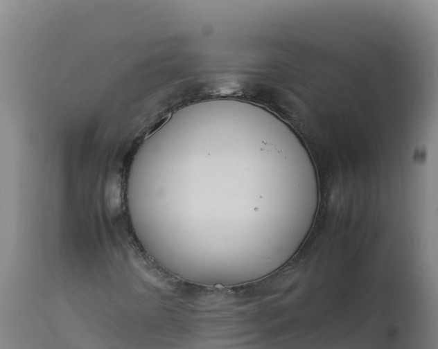 X0000112411442200908281803