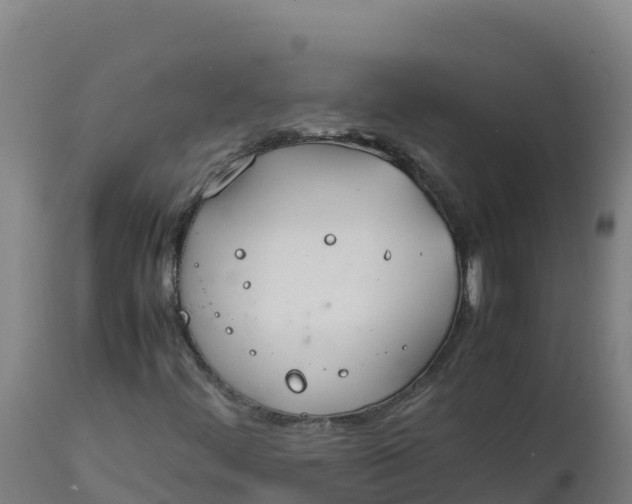 X0000112411444200908281803