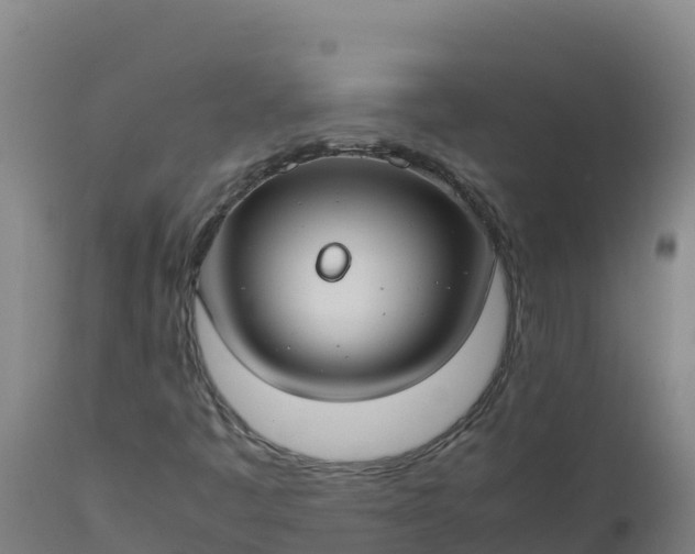 X0000112411445200908281803