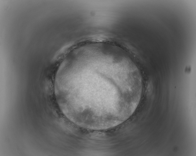 X0000112411446200908281803