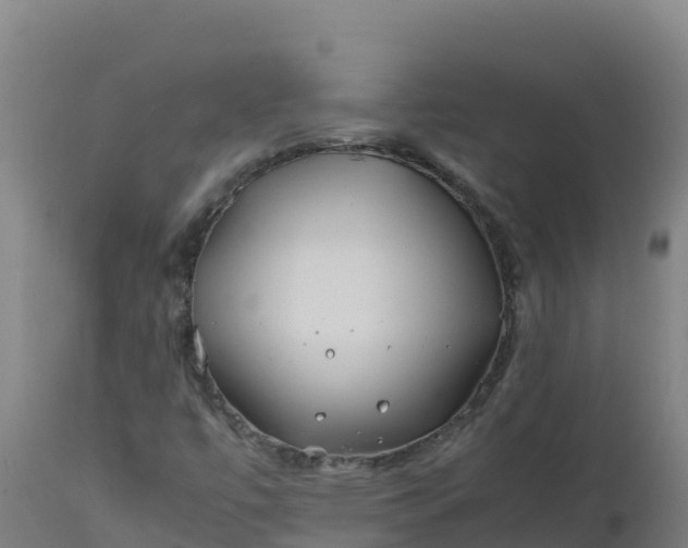 X0000112411447200908281803