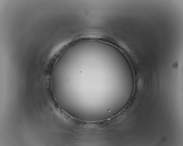 X0000112411448200908281803
