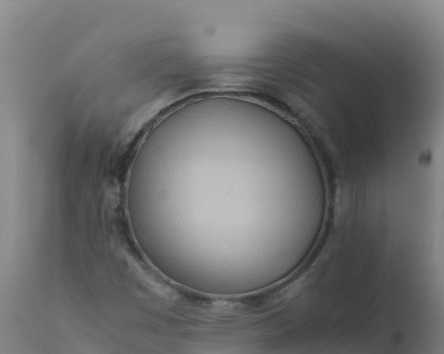 X0000112411449200908281803
