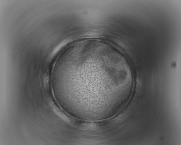 X0000112411450200908281803