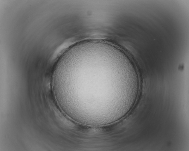 X0000112411451200908281803
