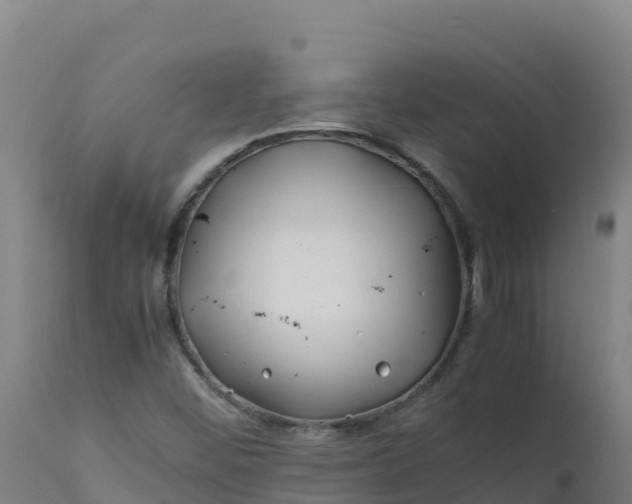 X0000112411452200908281803