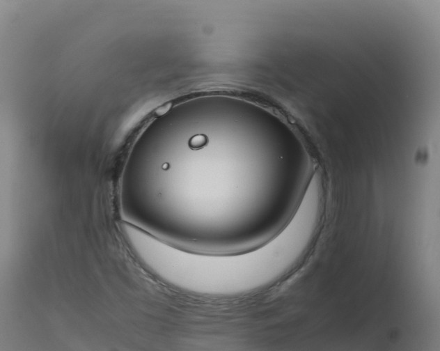 X0000112411453200908281803
