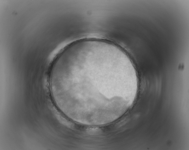 X0000112411454200908281803