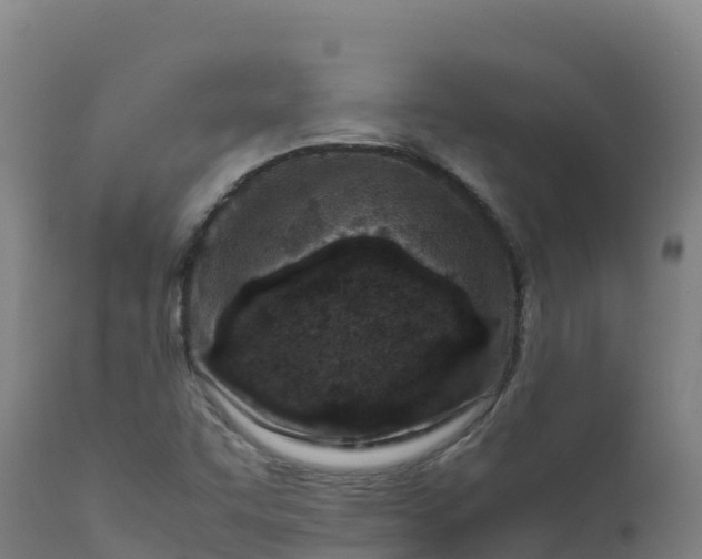 X0000112411455200908281803
