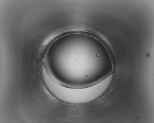 X0000112411456200908281803