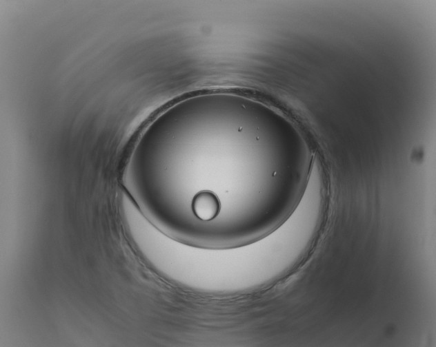 X0000112411457200908281803