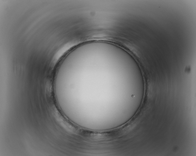 X0000112411458200908281803
