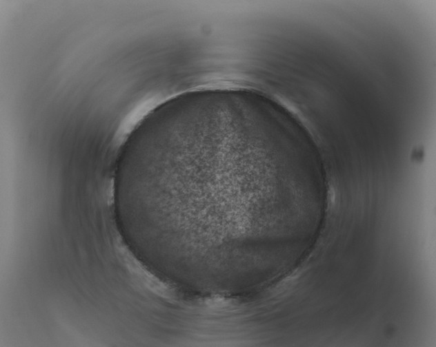X0000112411459200908281803