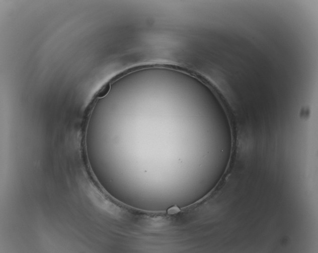 X0000112411460200908281803