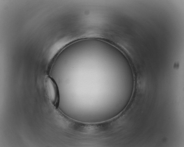 X0000112411461200908281803