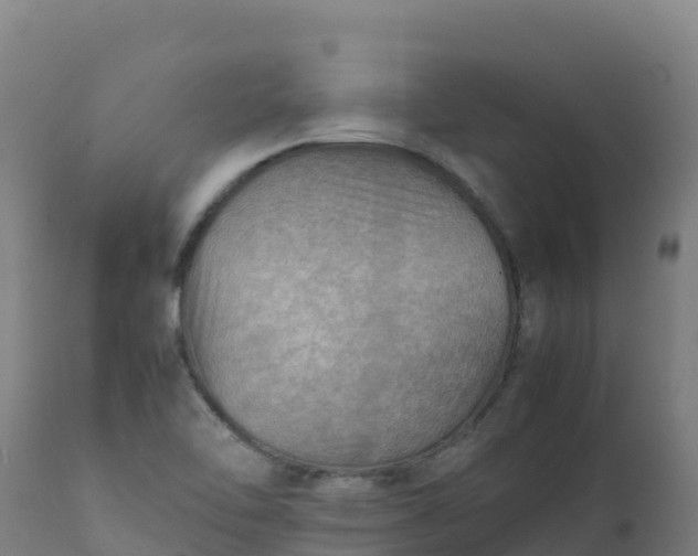 X0000112411462200908281803