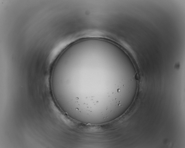 X0000112411464200908281803