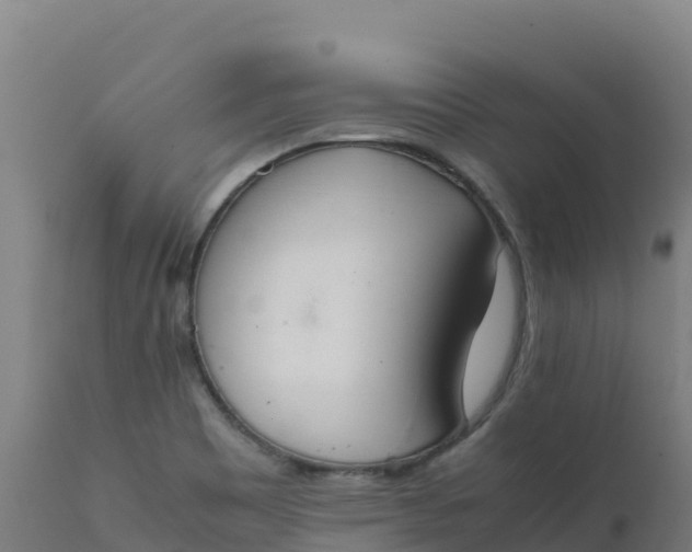 X0000112411465200908281803