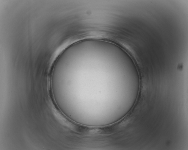X0000112411467200908281803