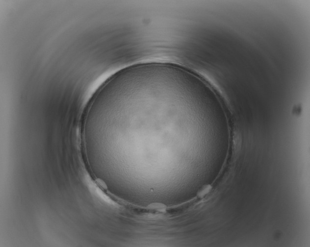 X0000112411468200908281803