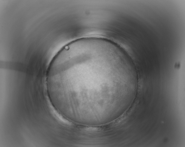 X0000112411470200908281803
