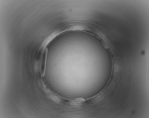 X0000112411473200908281803