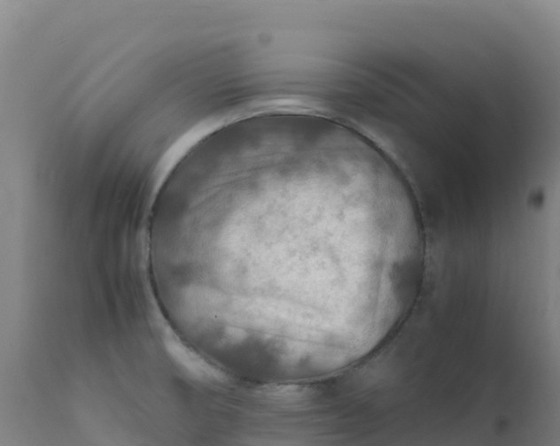 X0000112411474200908281803