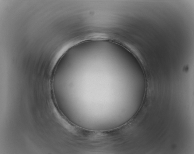 X0000112411475200908281803