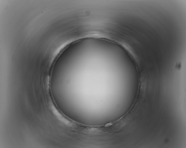 X0000112411476200908281803