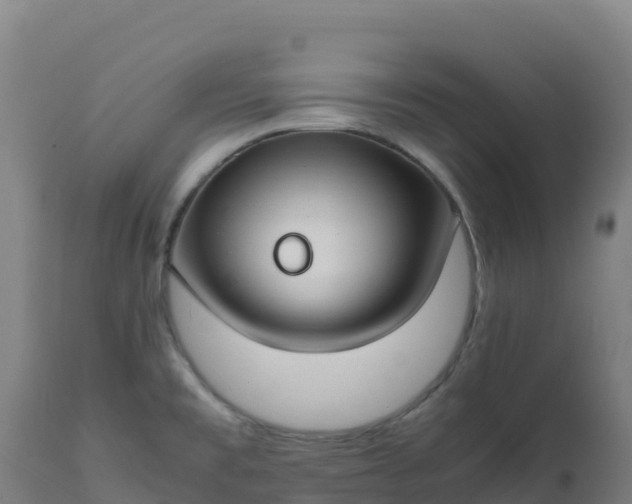 X0000112411477200908281803