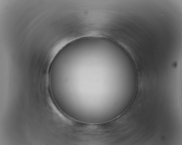 X0000112411479200908281803