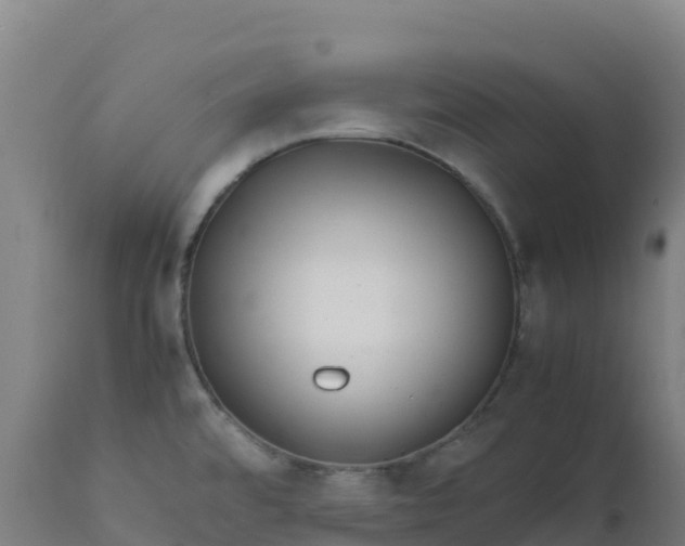 X0000112411480200908281803