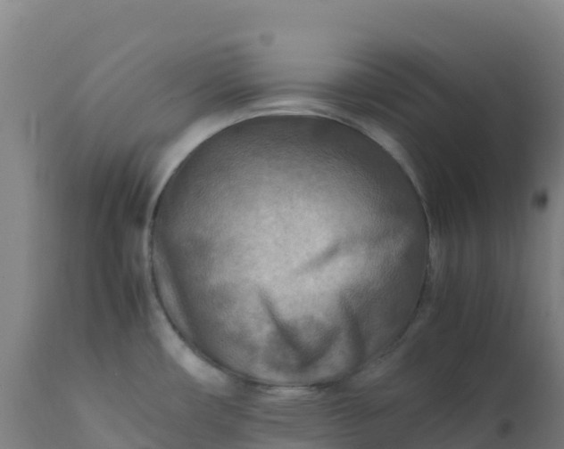 X0000112411482200908281803