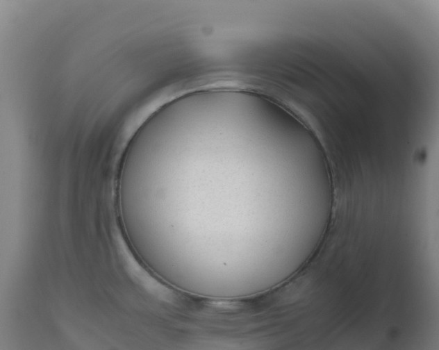 X0000112411483200908281803