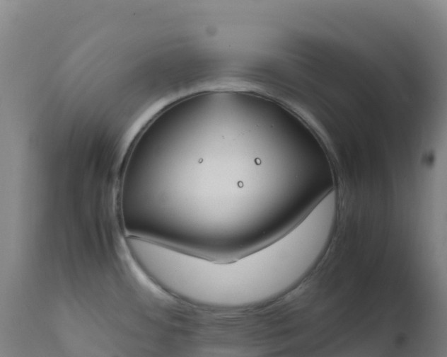 X0000112411484200908281803