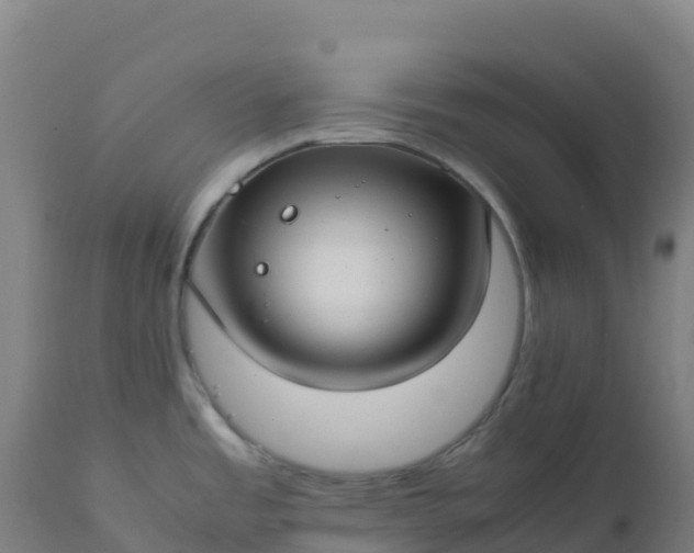 X0000112411485200908281803