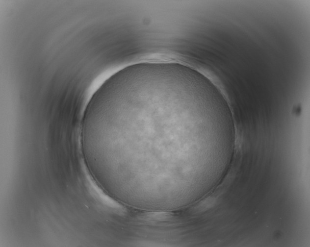 X0000112411486200908281803