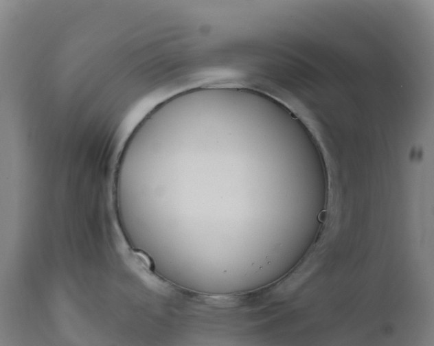 X0000112411488200908281803