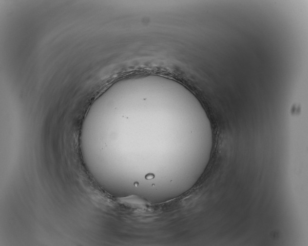 X0000112411489200908281801