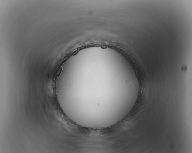 X0000112411490200908281801