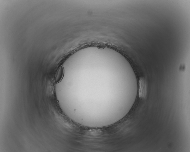 X0000112411491200908281801