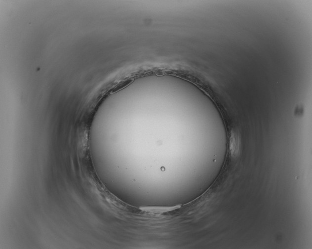 X0000112411492200908281802