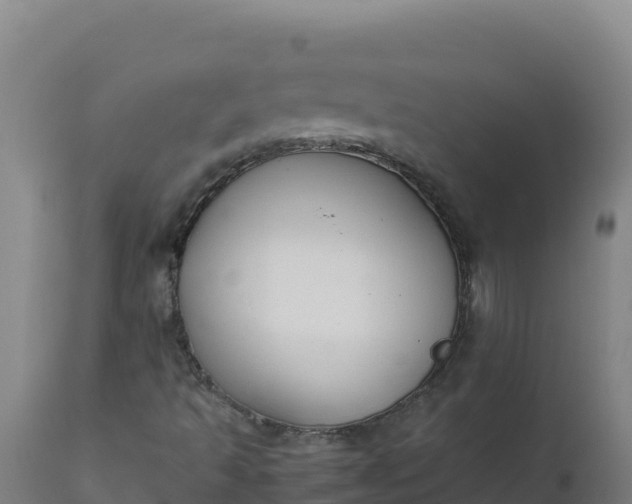 X0000112411493200908281802
