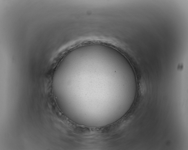 X0000112411494200908281802