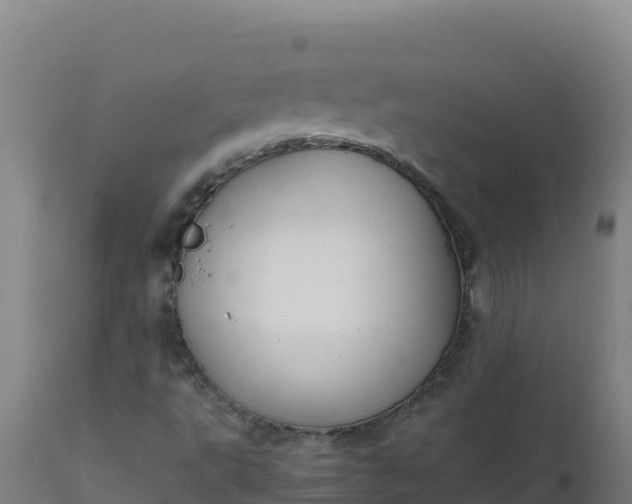 X0000112411495200908281802