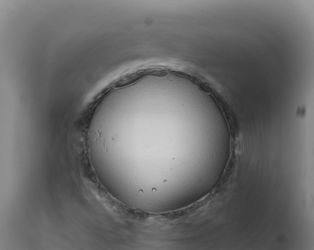 X0000112411496200908281802